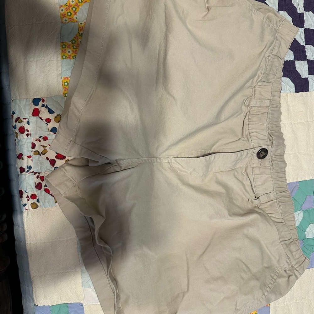 Chubbies Men's Tan Cargo Shorts